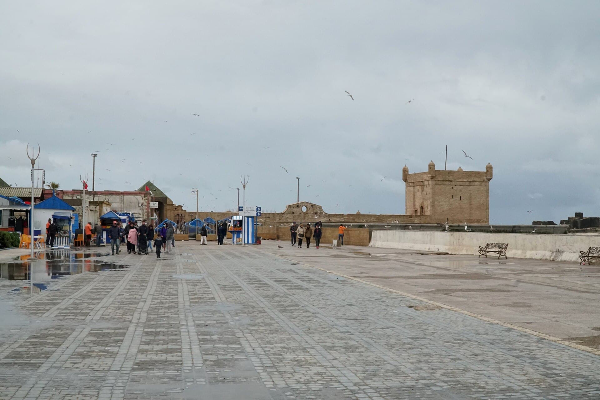 Remparts et port historique d'Essaouira face a l'Atlantique